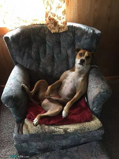 Being Nice And Lazy