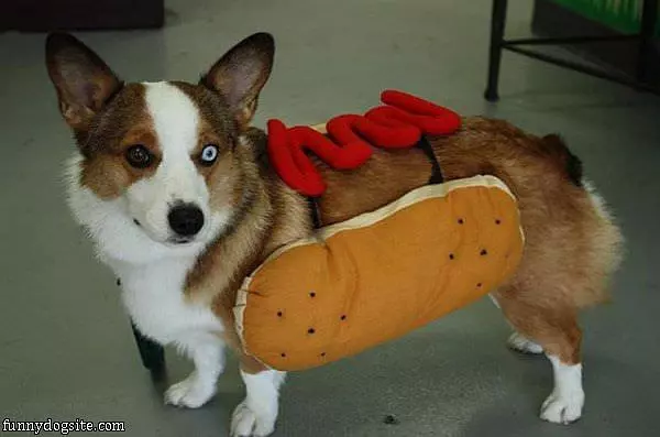 A Hot Dog