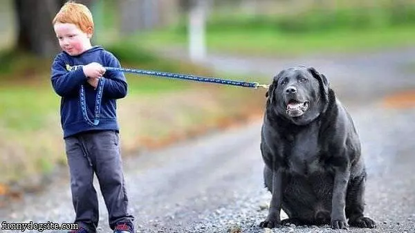 Thats A Big Dog