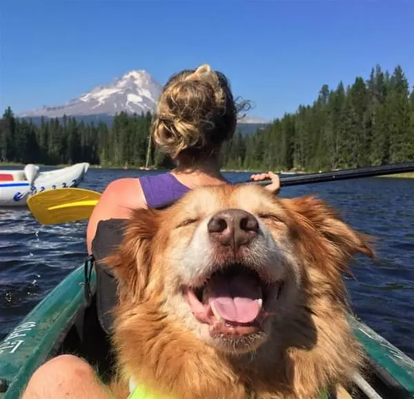 A Fun Day Outdoors