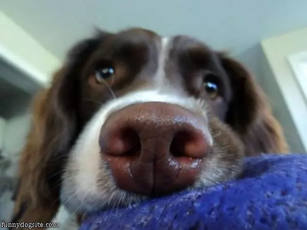 Super Extreme Closeup