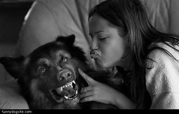 Cute Doggie