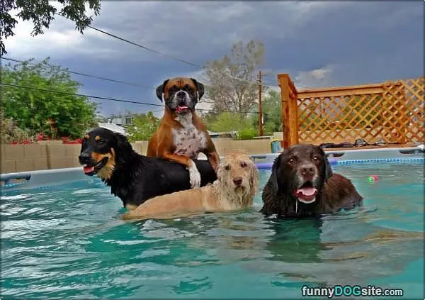 Taking The Pool Over