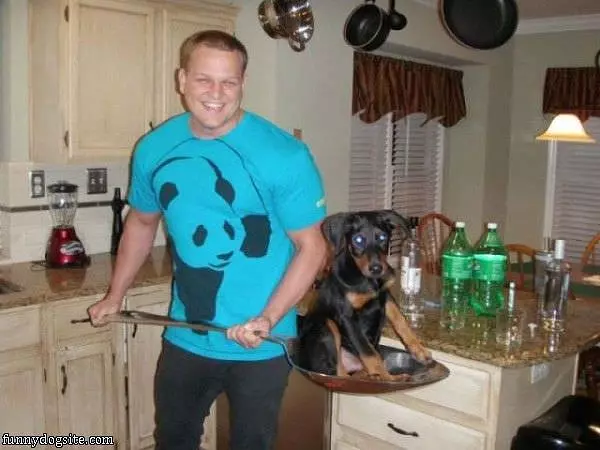 One Scoup Of Dog