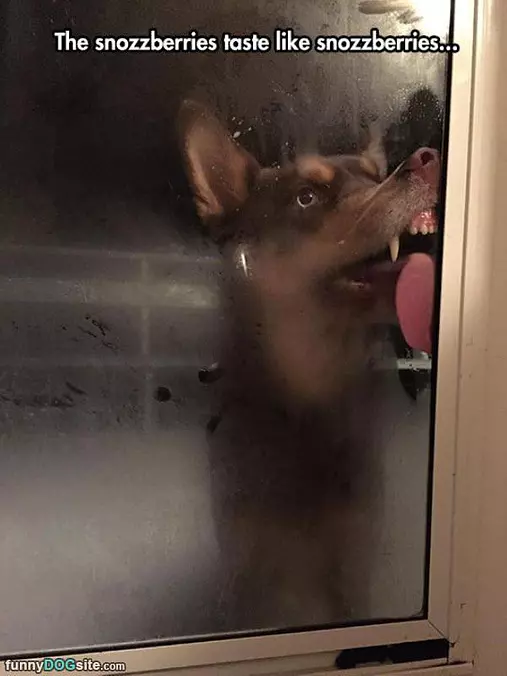 Snozzberries