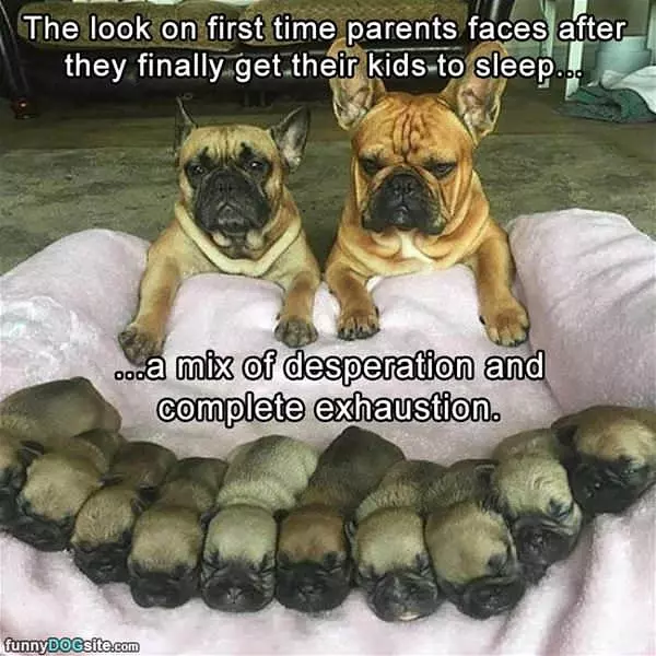 The Look When The Kids Go To Sleep