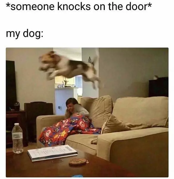 Someone Knocked The Front Door