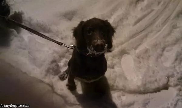 I Love The Snow