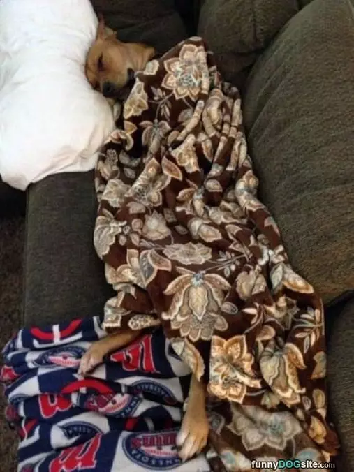 All Tucked In