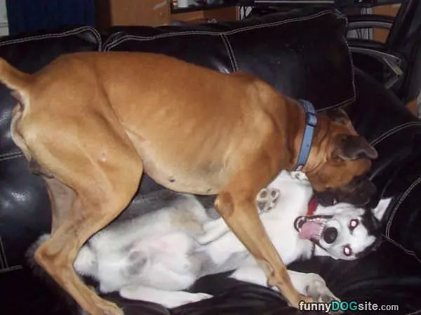 Hahahaha I Love Play Time