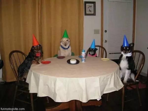Birthday Party