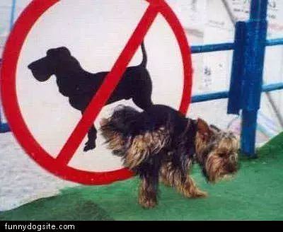 Breaking The Law