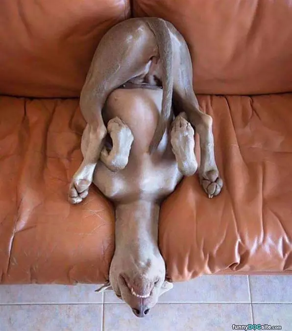 I Sleep How I Want