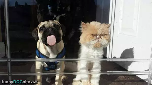 Lickkkkkk