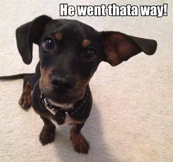 He Went Thata Way