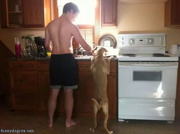 How Can I Help