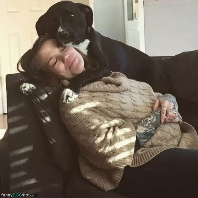 Good Place For A Nap