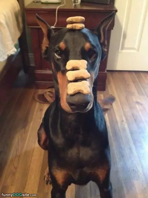 Good At Balancing