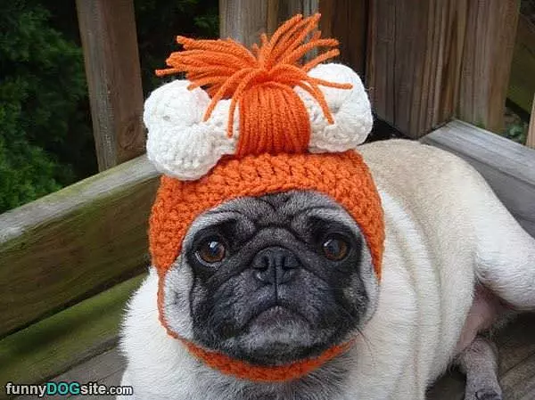 Pug Warm Hat
