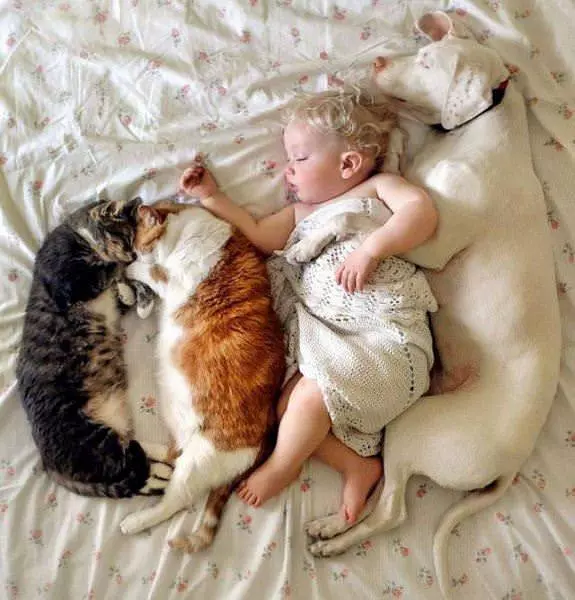 The Whole Family Is Here