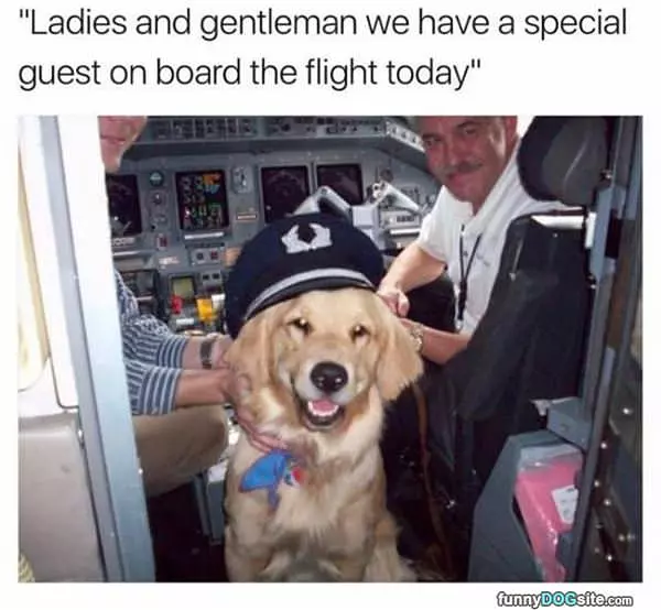 Get Aboard