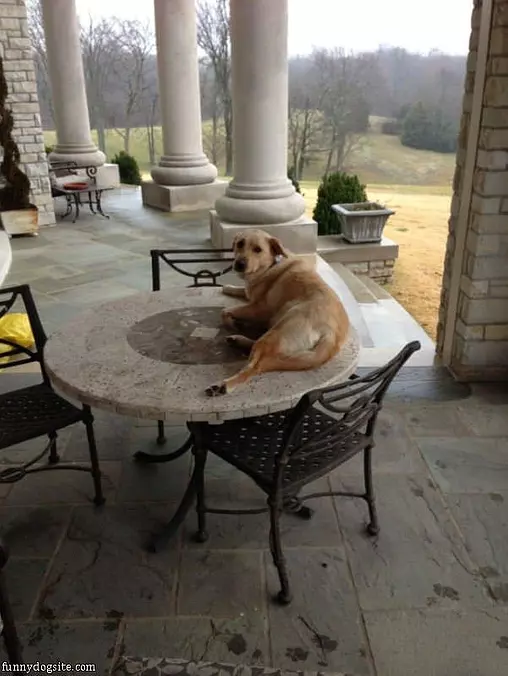 This Is My Favorite Spot