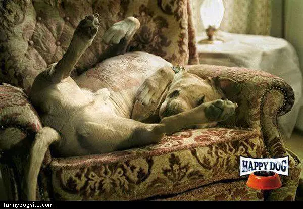 Happy Dog