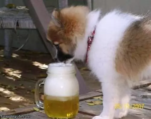 Good Beer