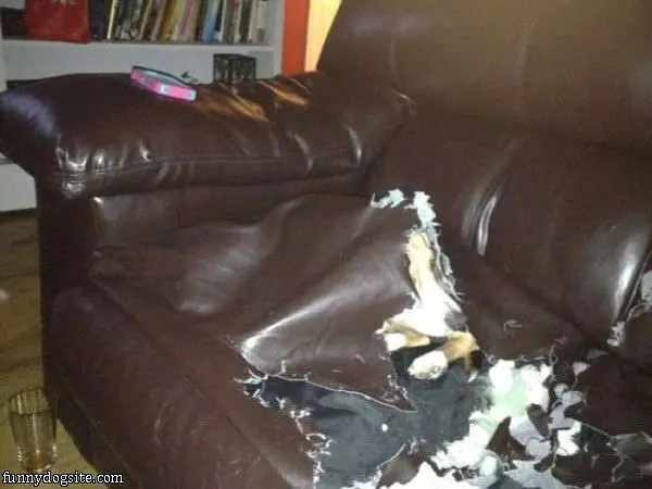 In My Couch