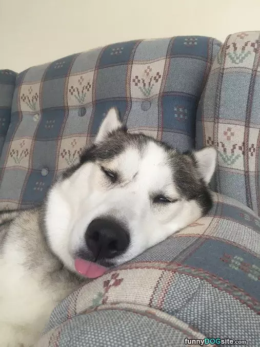 Pooped Out