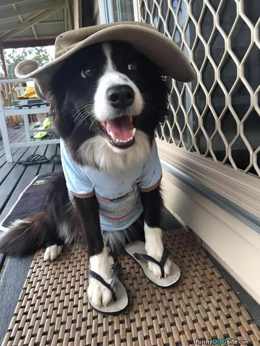 Ready For The Beach