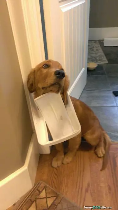 Wasnt Me