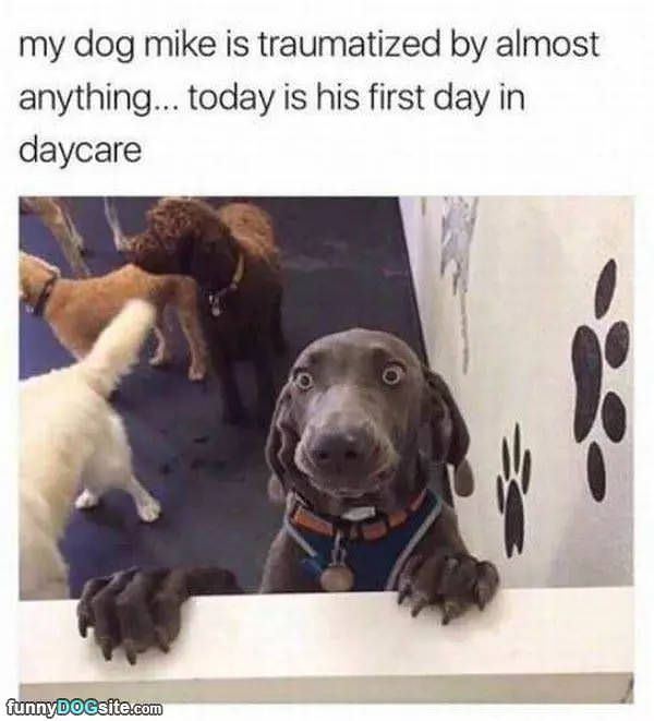 First Day In Daycare