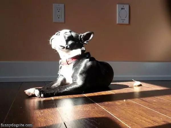 Give Me More Sun