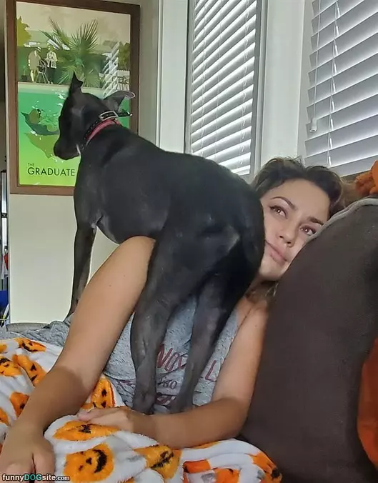 I Sits Here