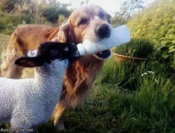 Let Me Help Here
