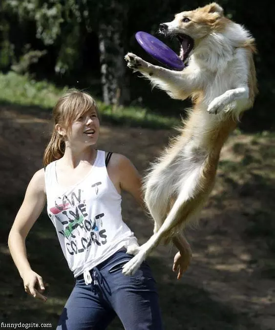 High Jump