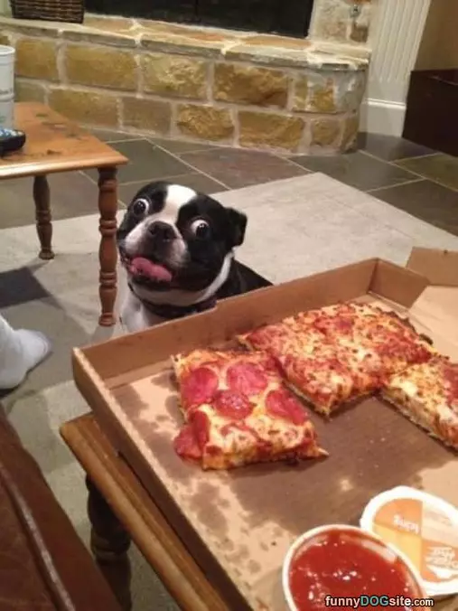 Oh That Looks Good