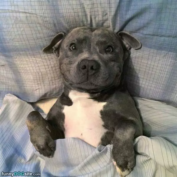 Come To Bed Already