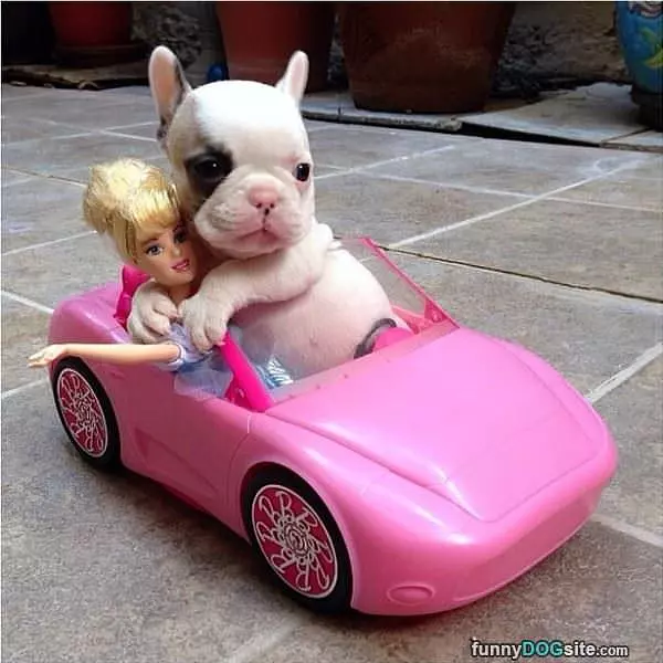 See Me Riding