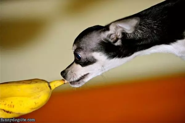 I Want This Yellow Thing