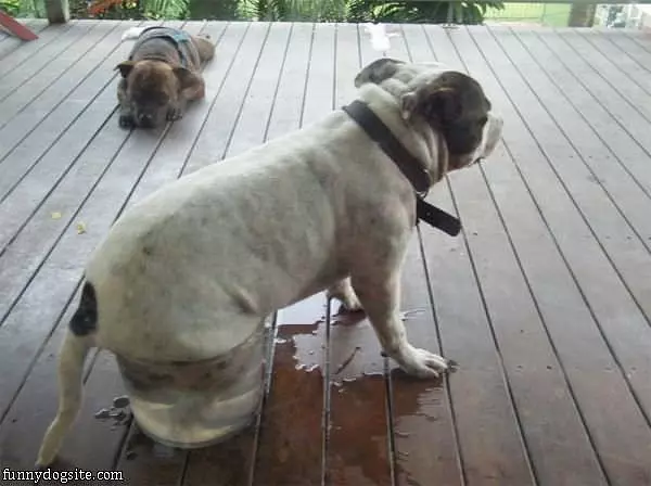 Cooling Off A Bit