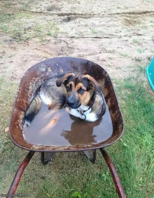 My New Bath Tub