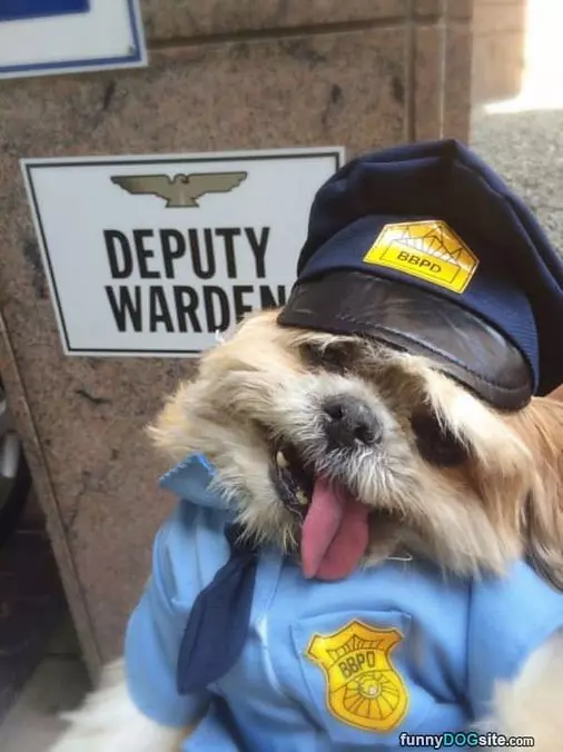 Call The Cops