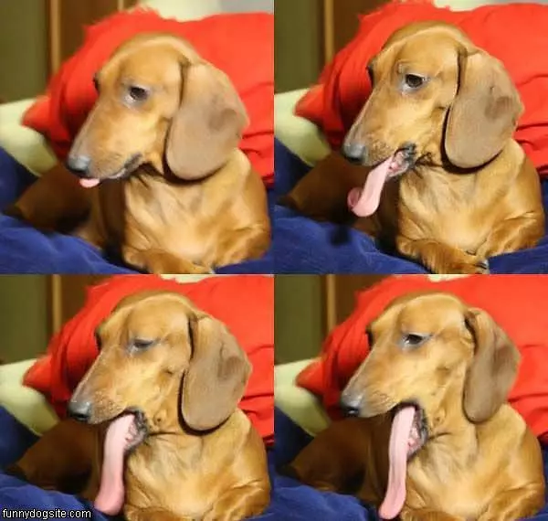 Super Long Tongue