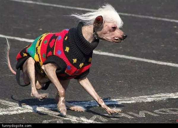 Nice Sweater