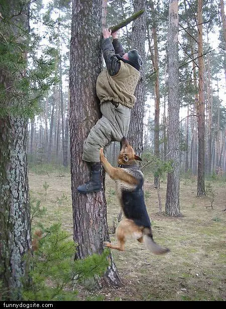Get Him