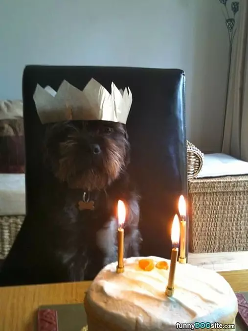I Have A Cake
