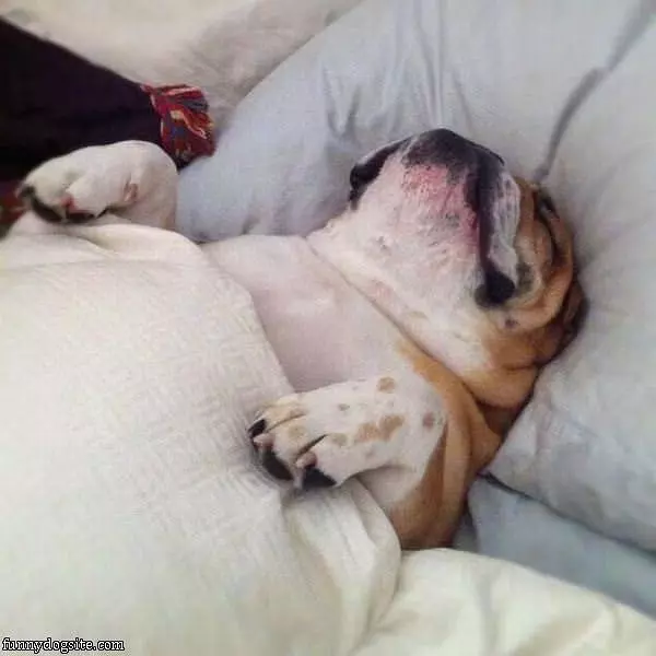 All Tucked In