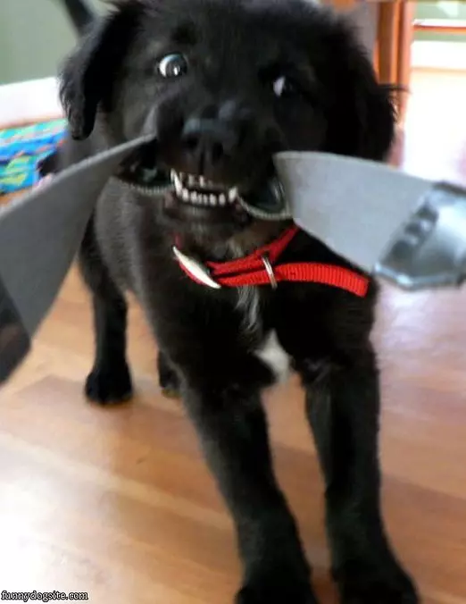 Tug Of War